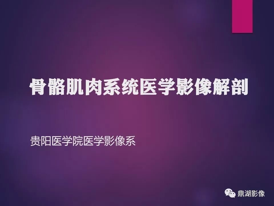 全身骨肌系统正常影像解剖（高清图谱）