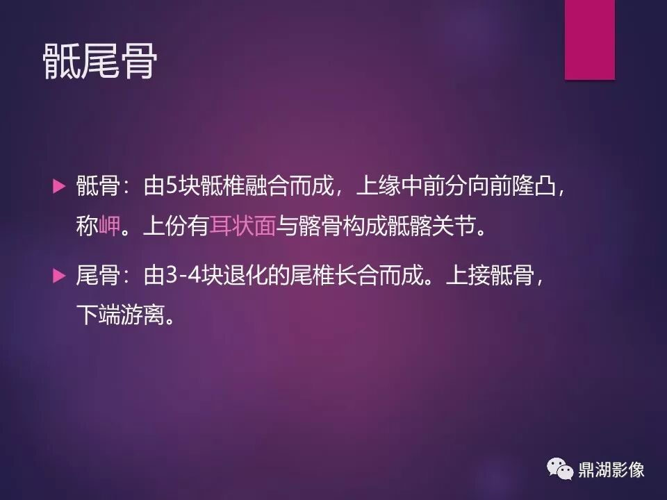 全身骨肌系统正常影像解剖（高清图谱）