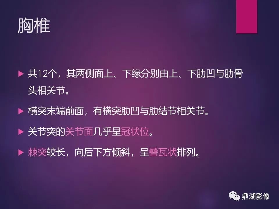 全身骨肌系统正常影像解剖（高清图谱）