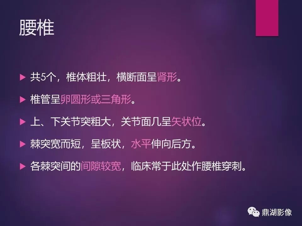 全身骨肌系统正常影像解剖（高清图谱）