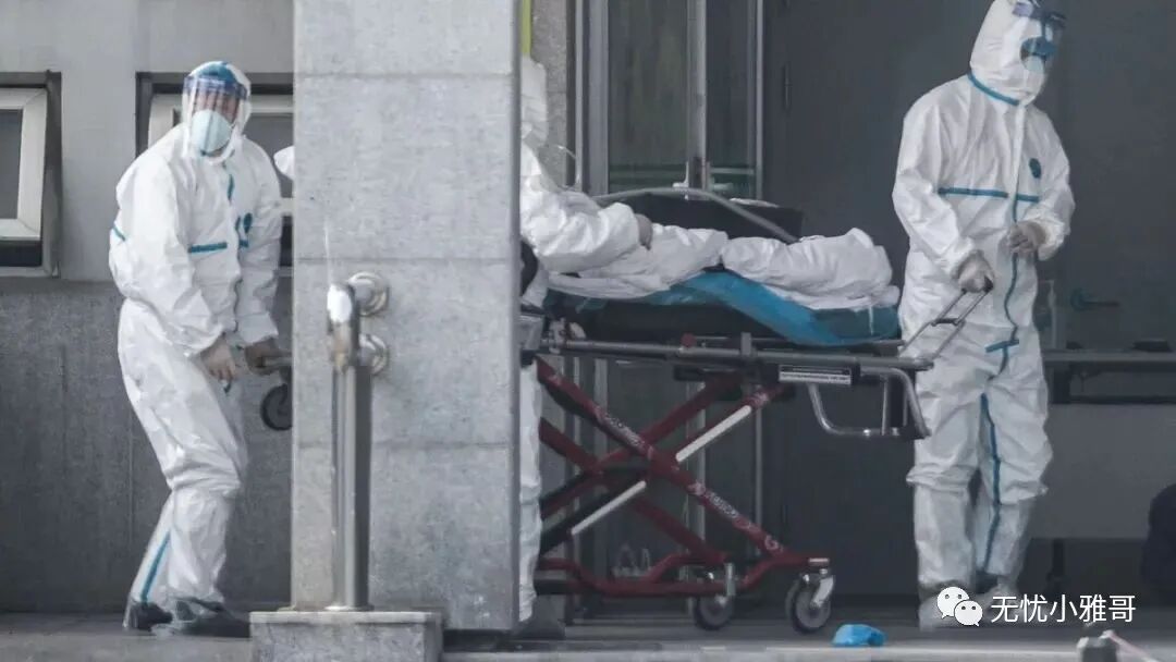 澳洲日当天墨尔本将爆发大规模游行！州长呼吁不要参加，绿党议员高唱反调（图） - 17