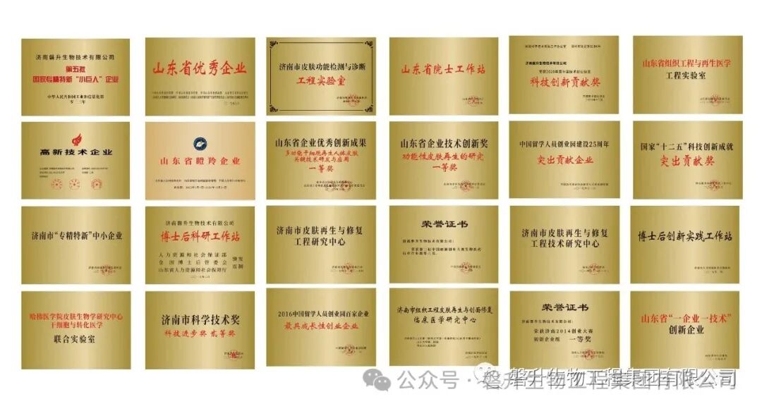 国家重点研发计划“智能传感器”重点专项“生物分子超高通量筛查微阵列芯片及快速检测传感器”2024年度项目总结会于磐升集团顺利召开(图25)