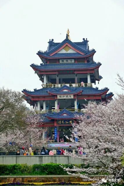 淡看一切的图片_看淡生活淡然图片_看淡和淡看是一个意思吗
