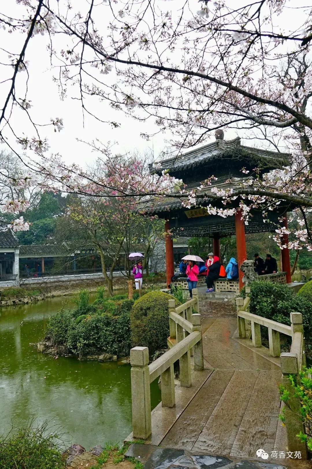 看淡生活淡然图片_看淡和淡看是一个意思吗_淡看一切的图片