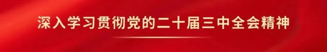 新澳门内部一码精准公开,加大民营经济支持力度政策汇总