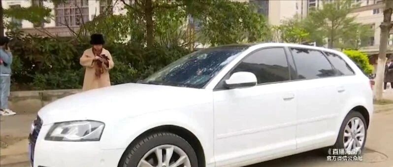 奥迪A3高速路突然熄火，车主质疑变速箱异常未及时召回，4S店却说……