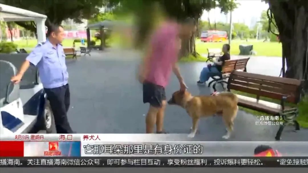 海口最嚴養犬管理條例出臺，重點管理區內每戶限養一隻，違規最高可罰10萬元！ 寵物 第2張