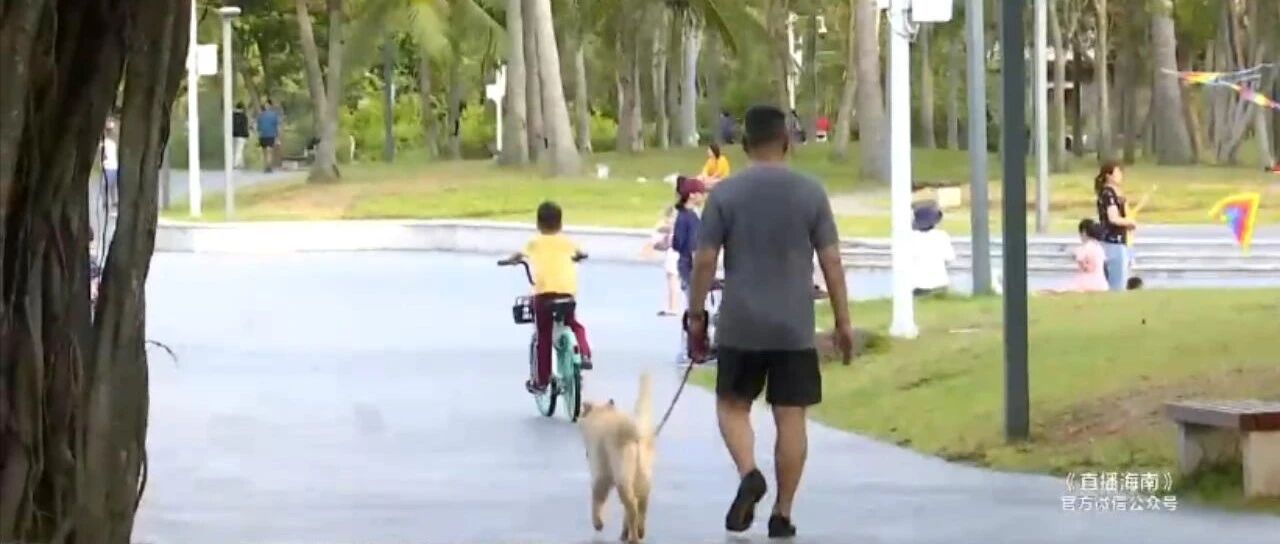 海口最严养犬管理条例出台，重点管理区内每户限养一只，违规最高可罚10万元！