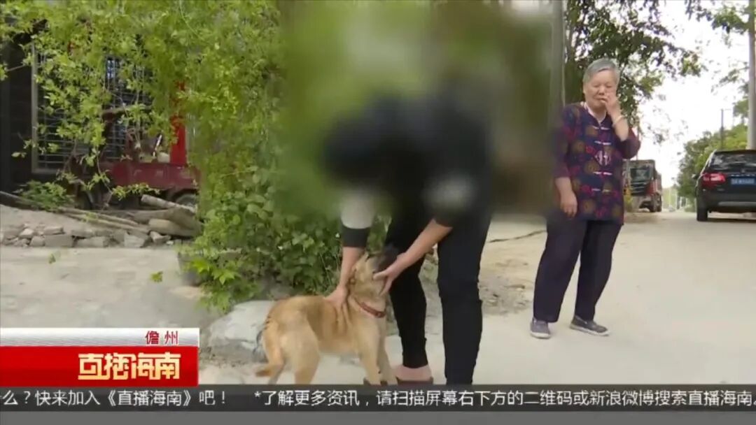 11天储值1万6！海口一少女冒用爷爷身分信息注册登记格斗游戏，背后原因令人心碎(图9)