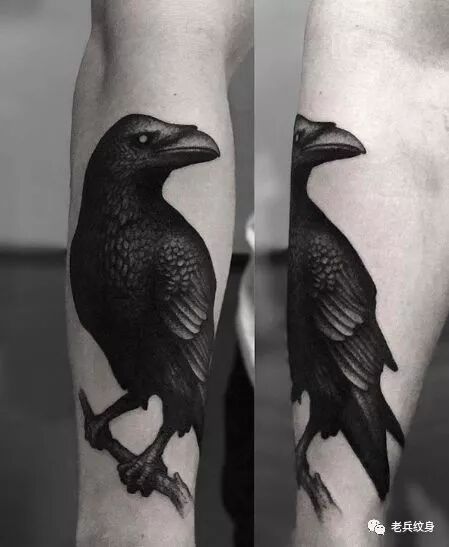 生活不止眼前的苟且，还有远处的黑暗