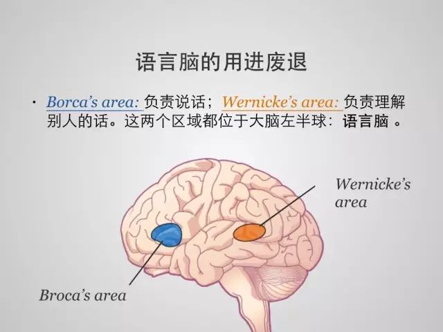 還用老方法教孩子學英語，只會「事倍功半」！高效的語言啟蒙是這樣的 親子 第9張