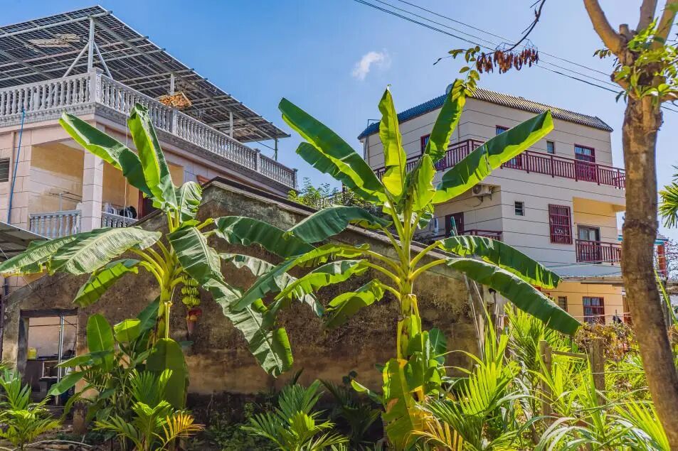 悠见南山村，独享崖州“世外桃源”