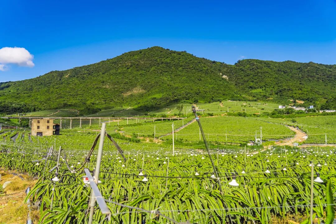 悠见南山村，独享崖州“世外桃源”