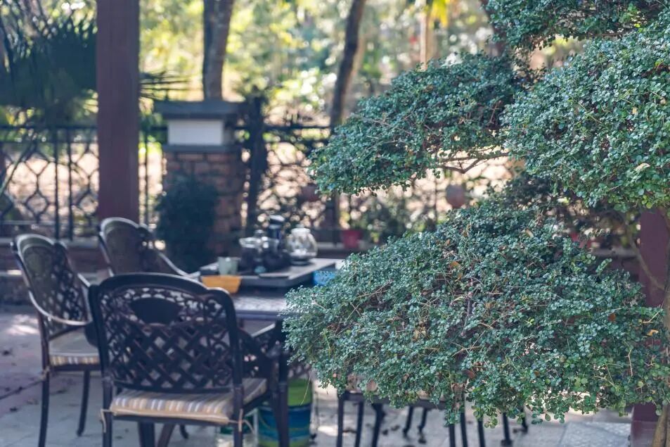 悠见南山村，独享崖州“世外桃源”