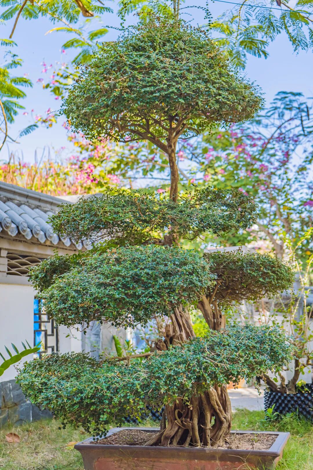 悠见南山村，独享崖州“世外桃源”