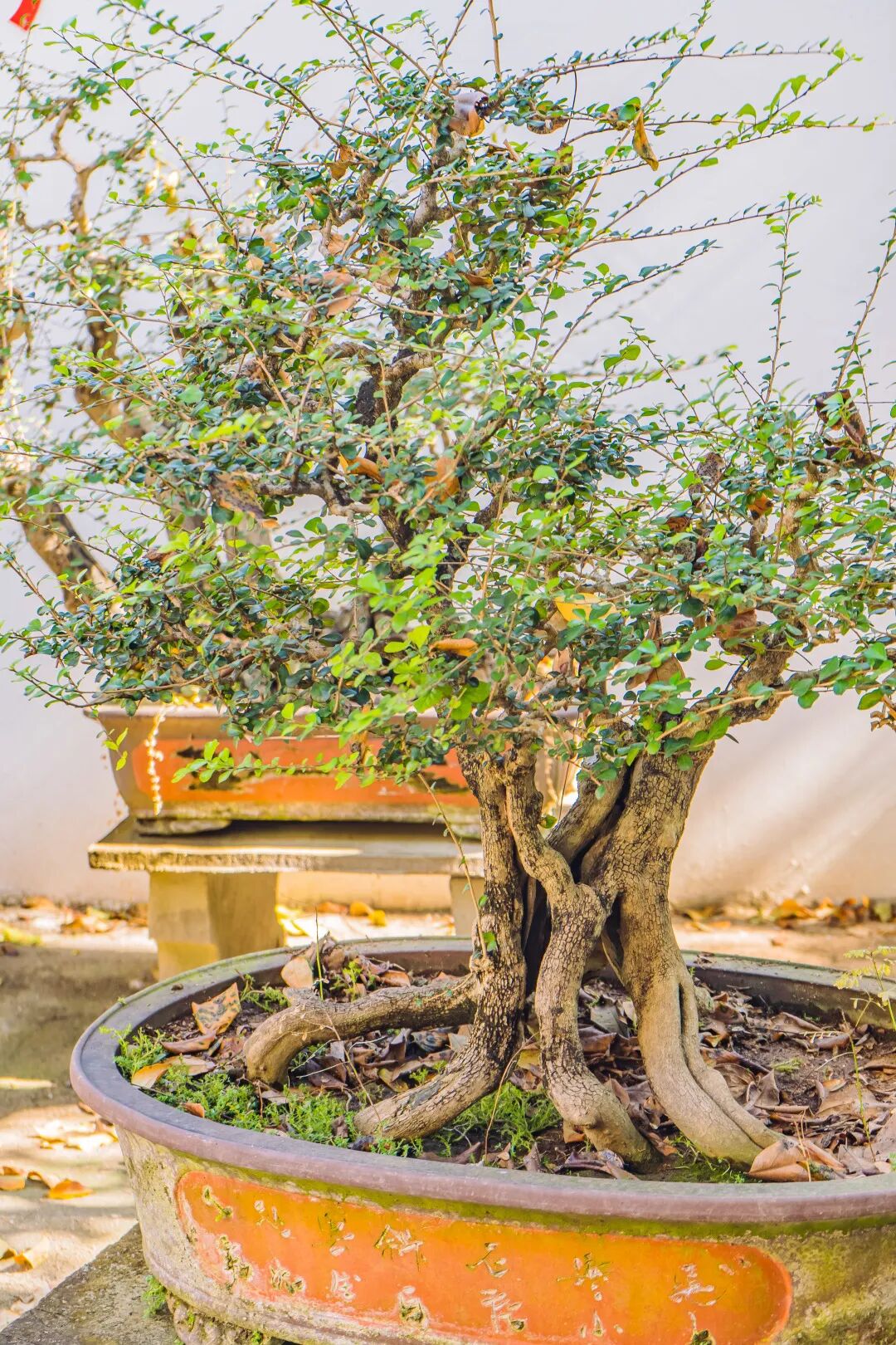 悠见南山村，独享崖州“世外桃源”