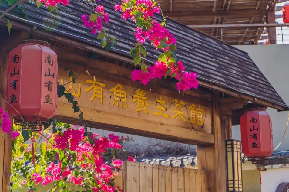 悠见南山村，独享崖州“世外桃源”