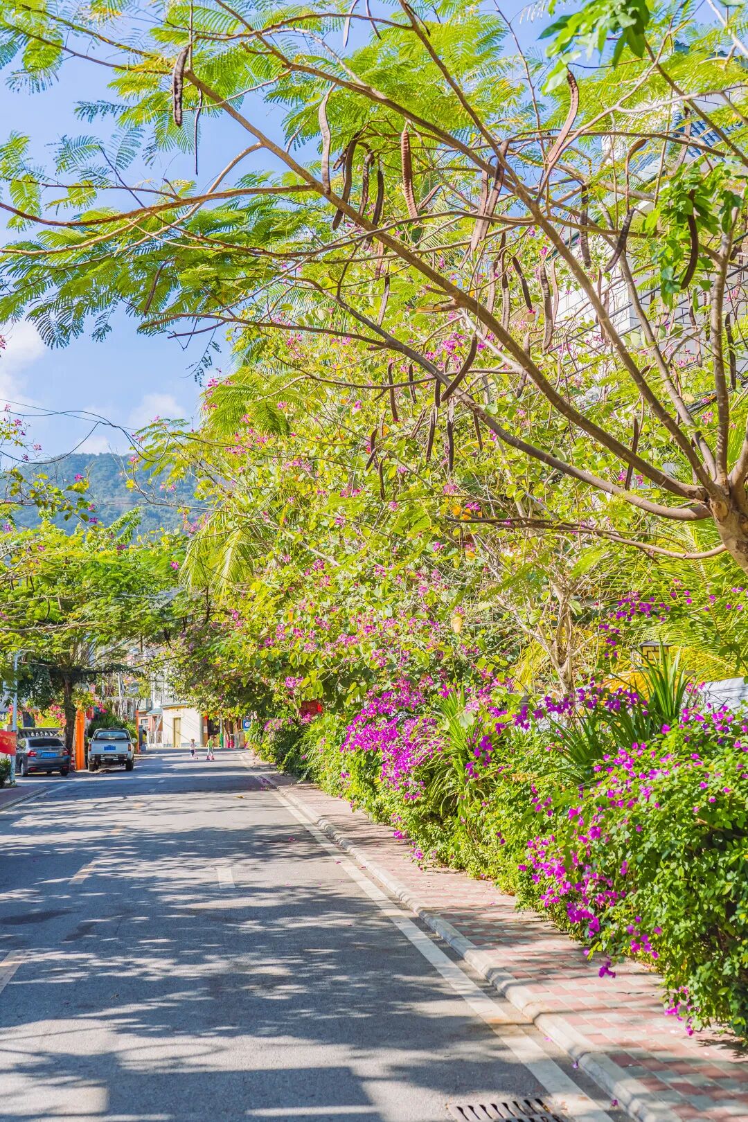 悠见南山村，独享崖州“世外桃源”