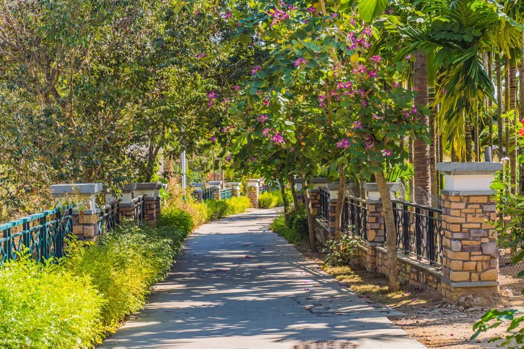 悠见南山村，独享崖州“世外桃源”