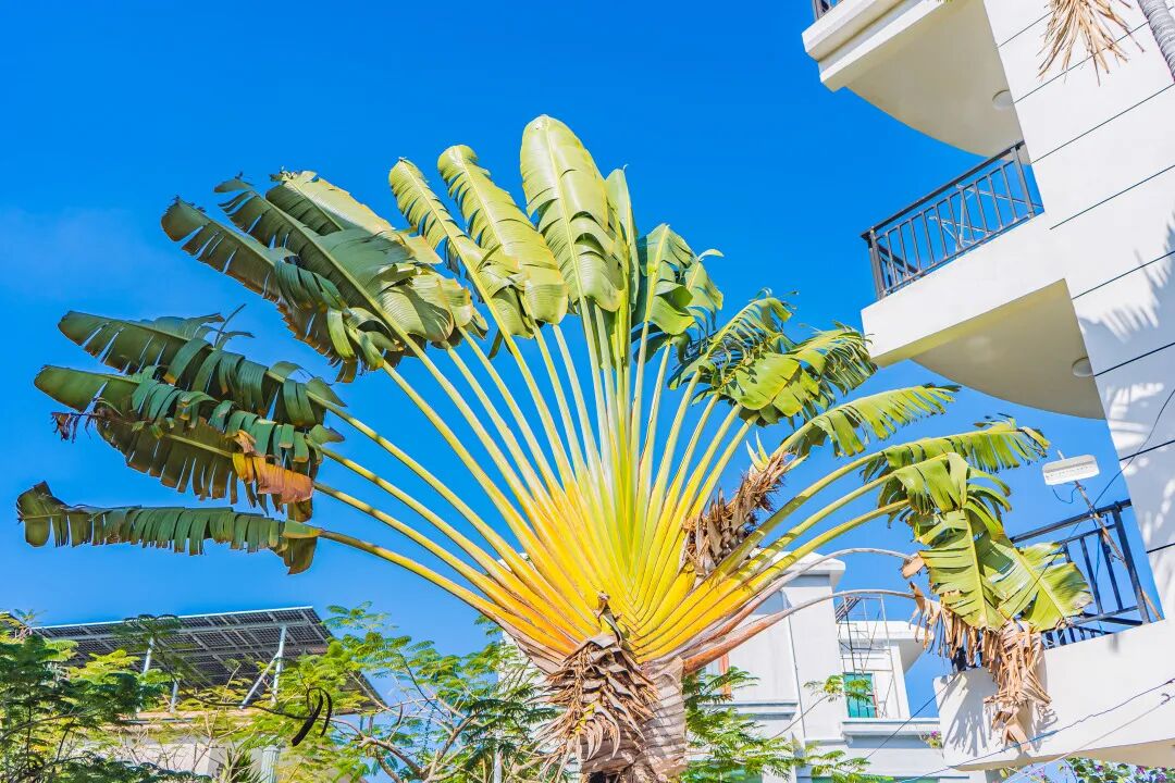 悠见南山村，独享崖州“世外桃源”