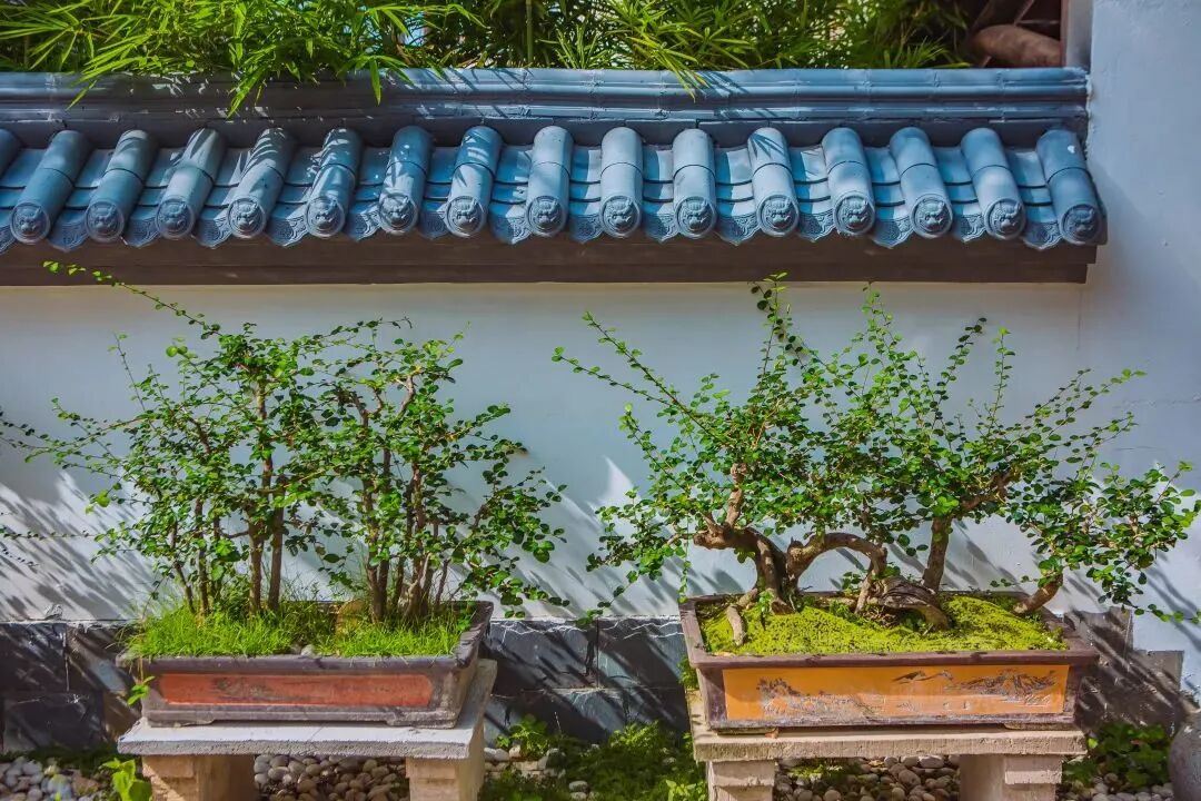 悠见南山村，独享崖州“世外桃源”