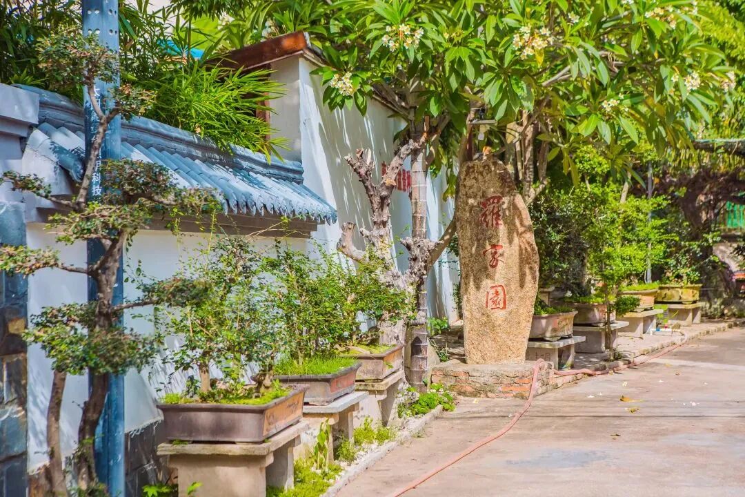 悠见南山村，独享崖州“世外桃源”