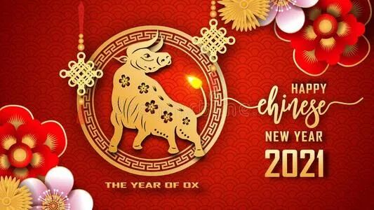 薛氏宗亲，新年快乐！