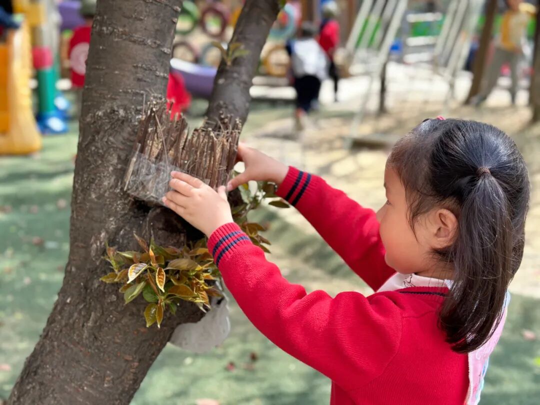 护鸟牌怎么写萌娃故事丨嗨！小鸟_https://www.jmylbn.com_新闻资讯_第54张