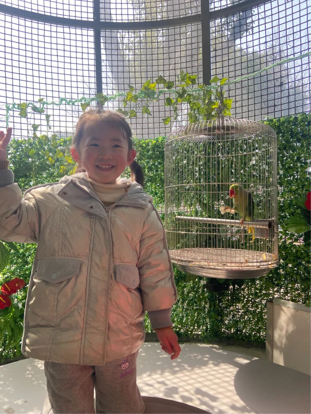 护鸟牌怎么写萌娃故事丨嗨！小鸟_https://www.jmylbn.com_新闻资讯_第21张