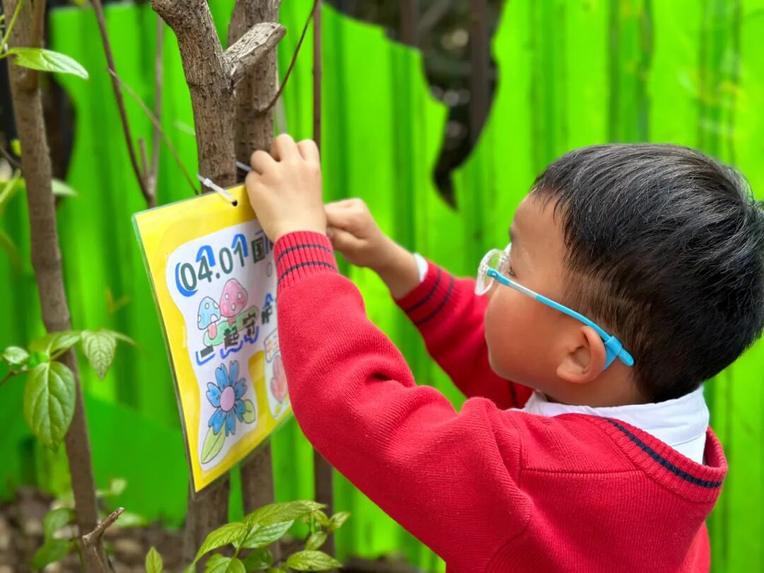 护鸟牌怎么写萌娃故事丨嗨！小鸟_https://www.jmylbn.com_新闻资讯_第53张