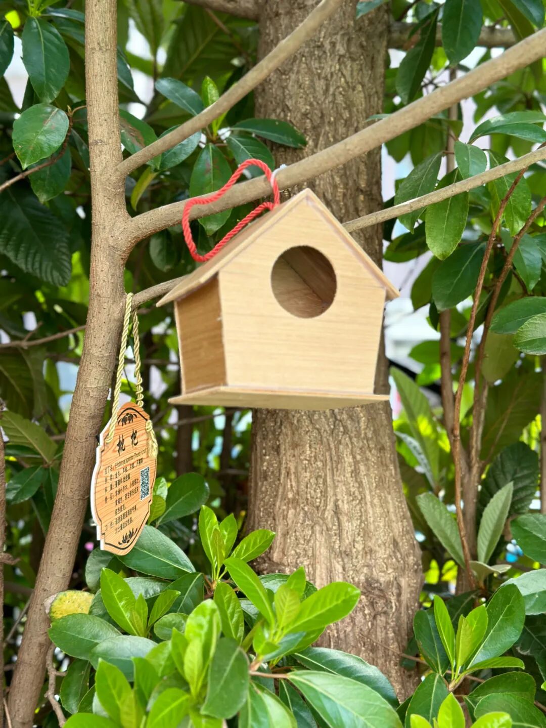 护鸟牌怎么写萌娃故事丨嗨！小鸟_https://www.jmylbn.com_新闻资讯_第57张