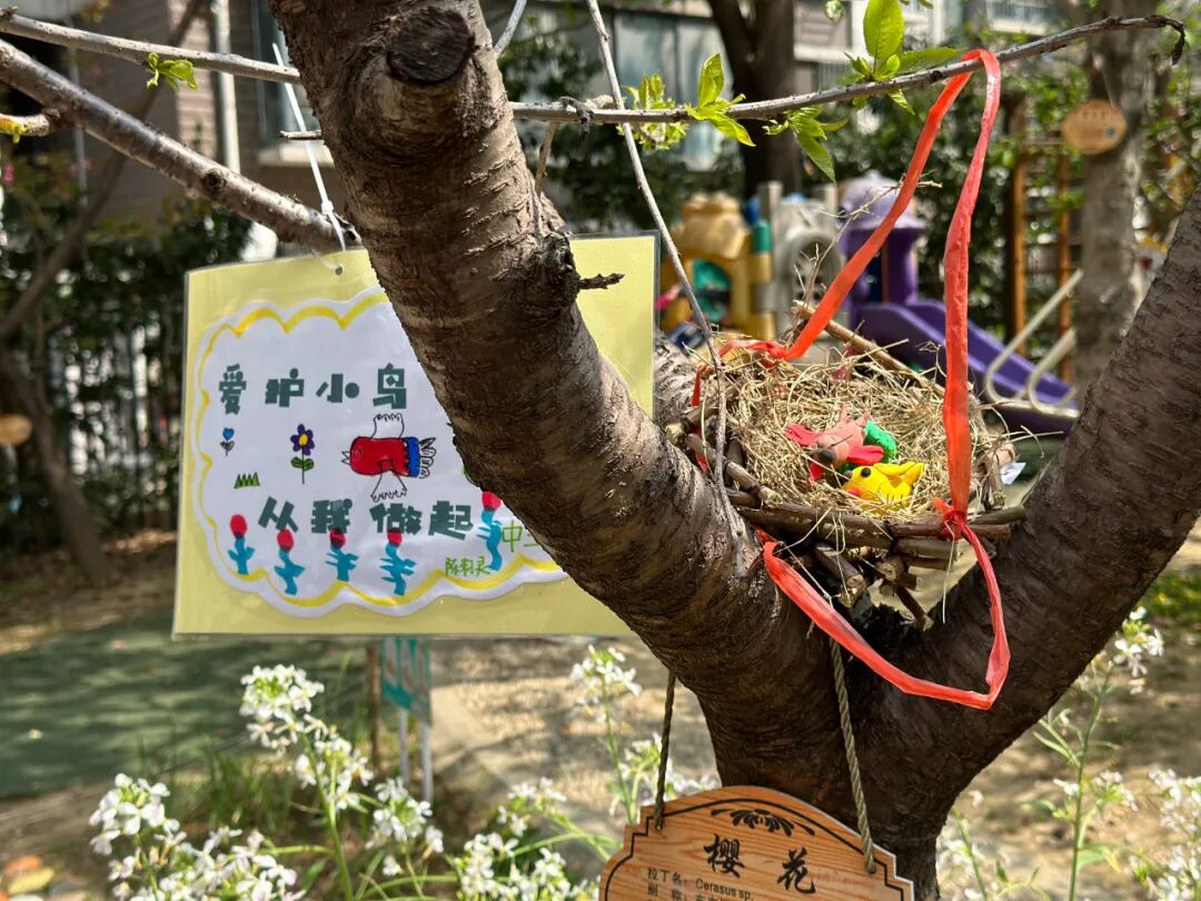 护鸟牌怎么写萌娃故事丨嗨！小鸟_https://www.jmylbn.com_新闻资讯_第58张