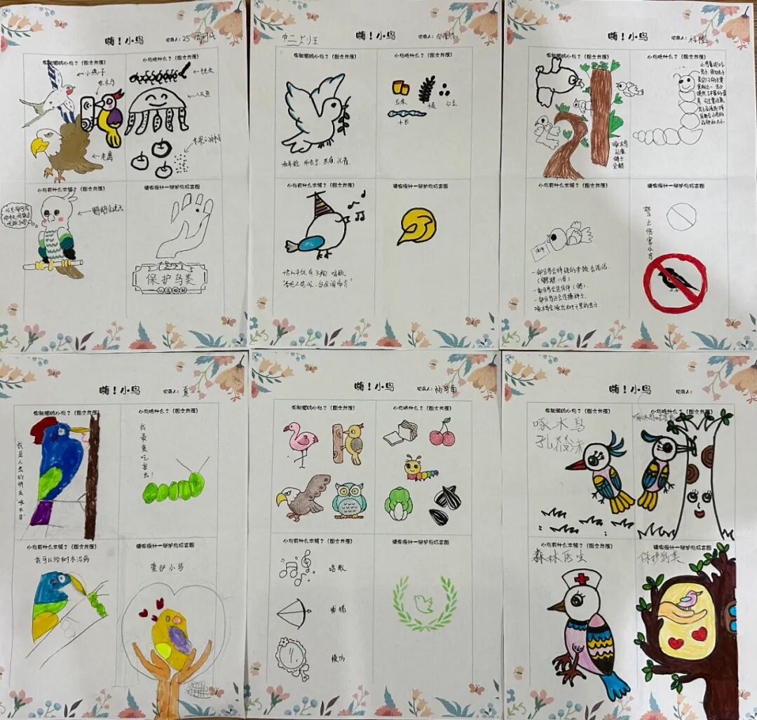 护鸟牌怎么写萌娃故事丨嗨！小鸟_https://www.jmylbn.com_新闻资讯_第17张