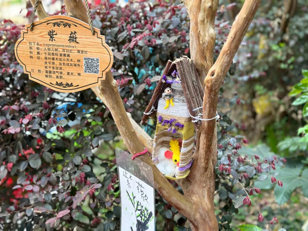 护鸟牌怎么写萌娃故事丨嗨！小鸟_https://www.jmylbn.com_新闻资讯_第59张