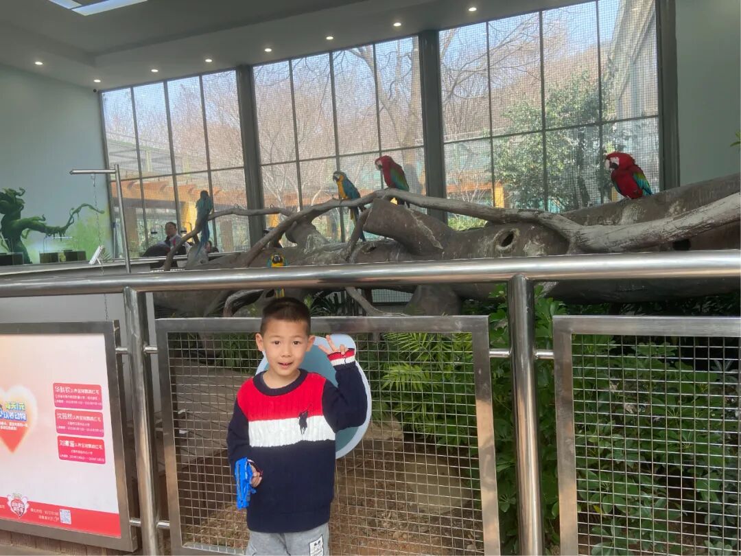 护鸟牌怎么写萌娃故事丨嗨！小鸟_https://www.jmylbn.com_新闻资讯_第25张