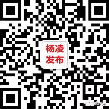 楊凌農高會首設互動體驗區：手機新農具「點燃」全民學農潮 科技 第6張