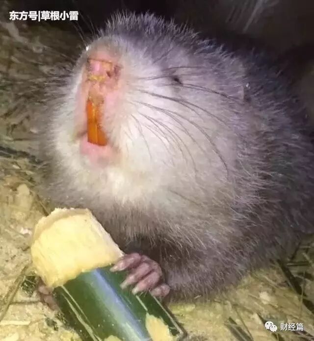 小投资的创业项目_小创业加工创业项目_算不算暴利型的小本创业项目