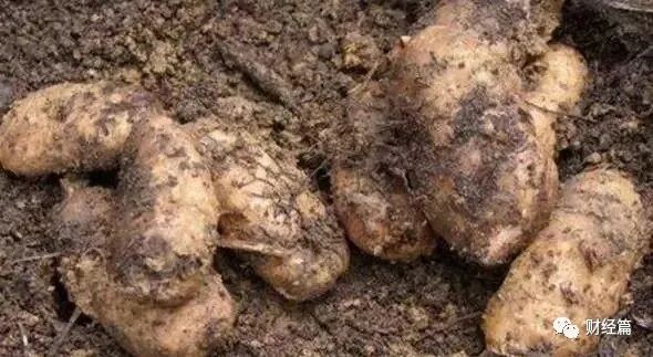 小投资的创业项目_小创业加工创业项目_算不算暴利型的小本创业项目