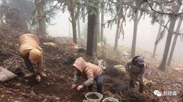 小创业加工创业项目_算不算暴利型的小本创业项目_小投资的创业项目