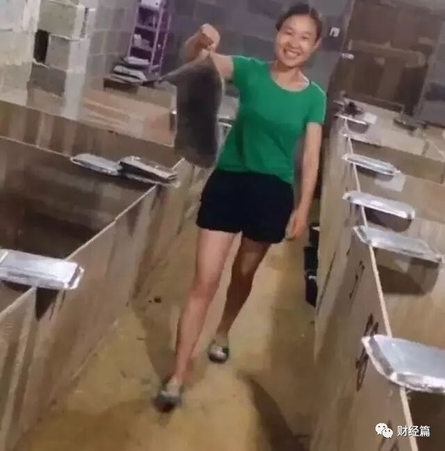 小创业加工创业项目_算不算暴利型的小本创业项目_小投资的创业项目