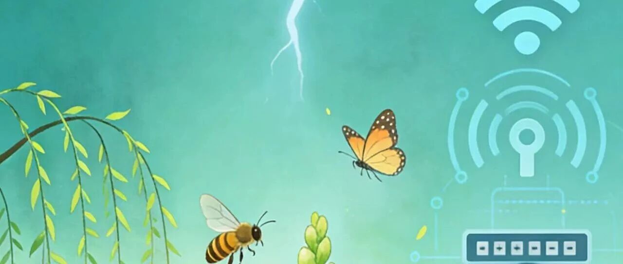 cover_image