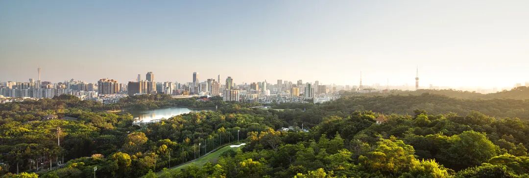 金九银十，广州即将开盘的新盘有哪些？