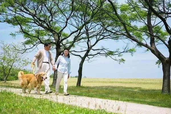 喜歡散步的注意！央視提醒：換種走法，生病風險降一半 健康 第9張