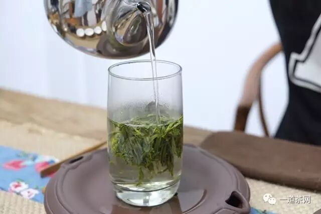 绿茶有哪些品种，常见这几种你一定知道