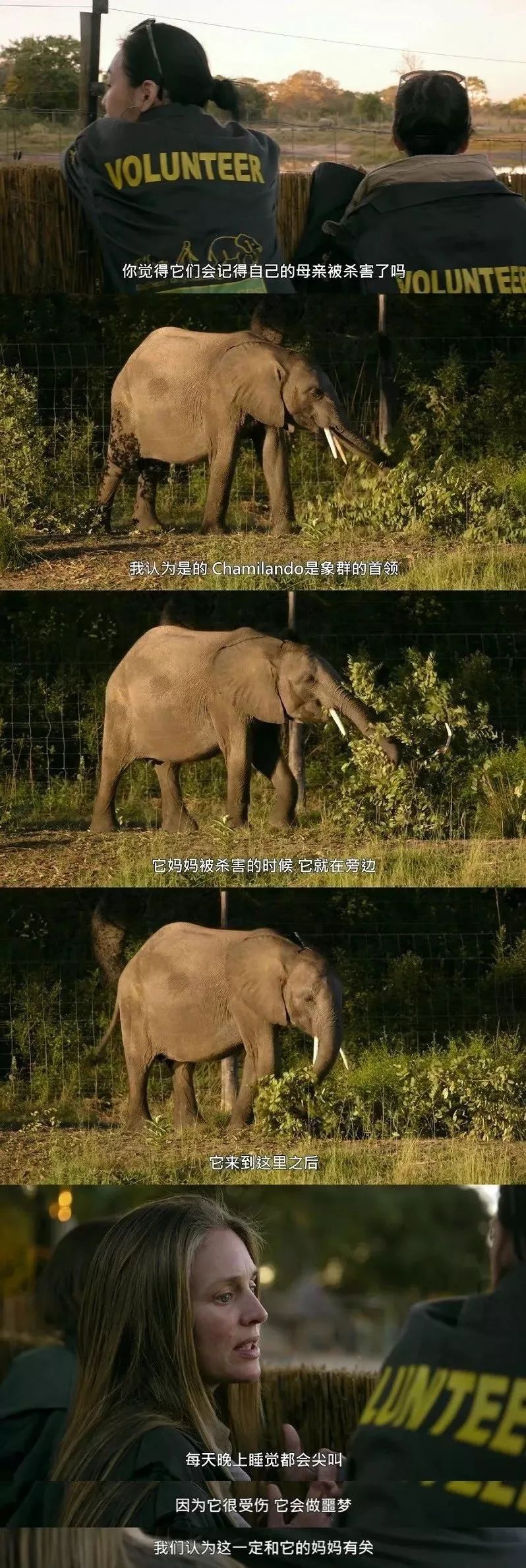 锵锵行天下 第三季 综艺_网络锵锵锵锵什么意思_爽食行天下综艺