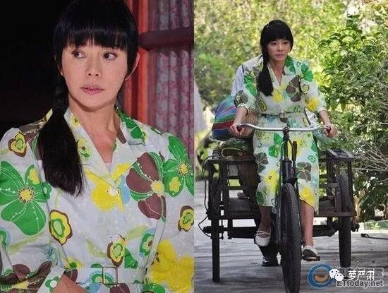 说说 - 多乐猫_duolemao.com