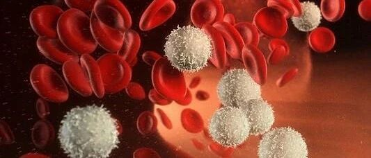 白血病不是年轻人专属！这类白血病更青睐老年人~~