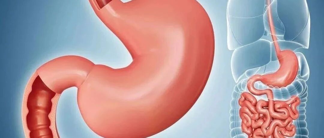 胃肠功能紊乱如何调养？注意这几个要点！快乐过大年~~