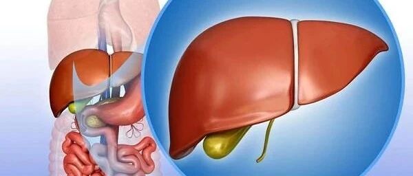 慢性乙肝丙肝患者，可免费检测高灵敏HBV DNA及HCV RNA