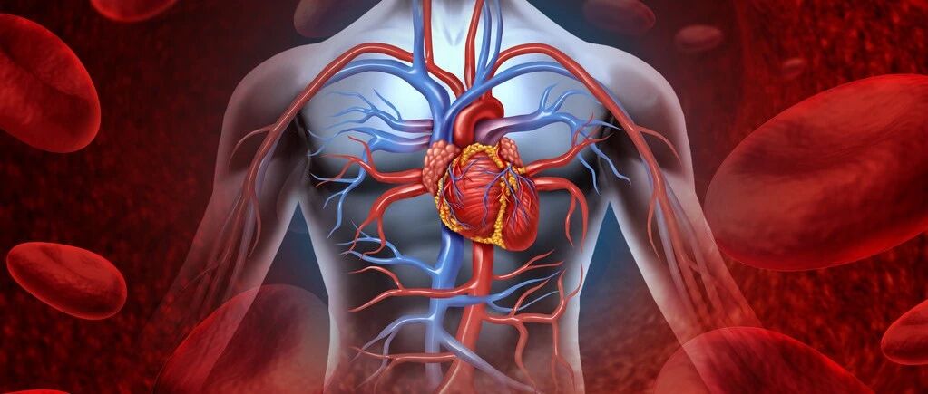 发现贫血就补铁，你真的补对了吗？